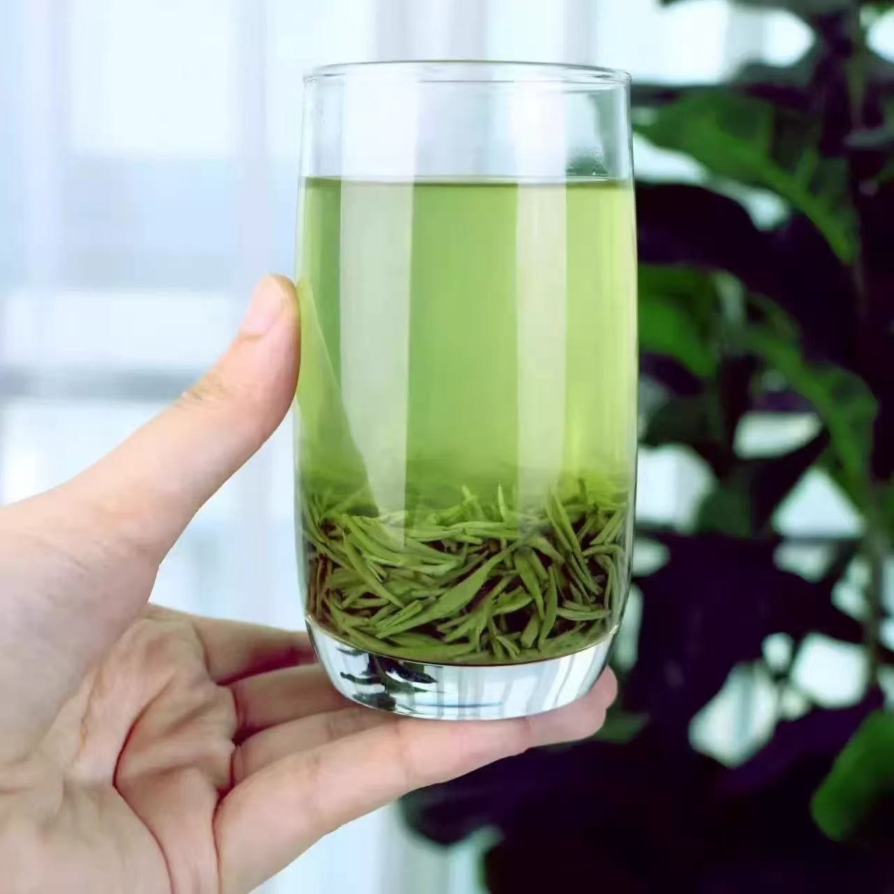 Xinyang Maojian Tea (Green Tea)